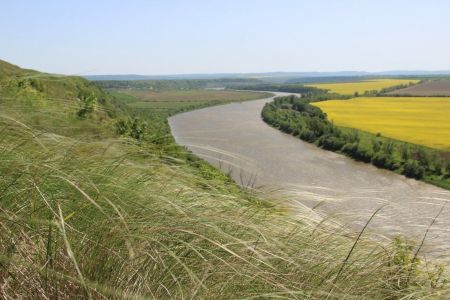 Угрупованння ковили найкрасивішої на схилі Дністра