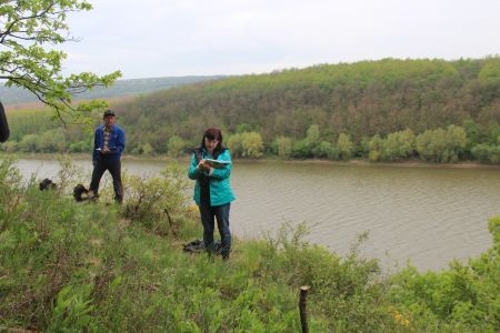 Орнітологічні спостереження з оглядового майданчику «Білий камінь»