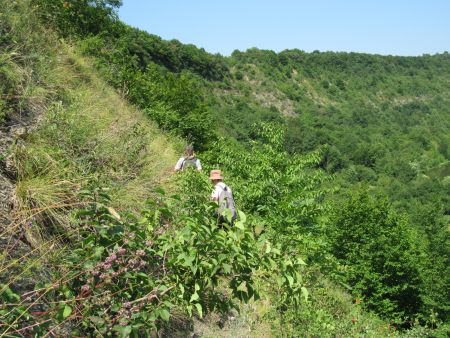 На схилі Шершенівської стінки 15.07.2021