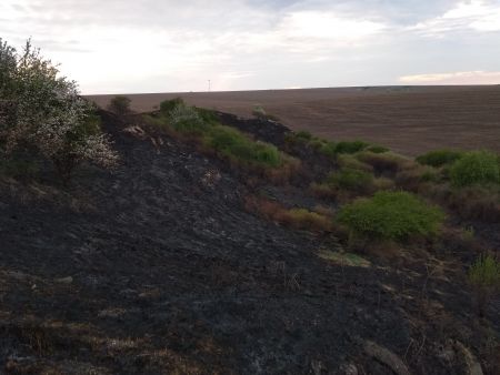 Випалені Говоди