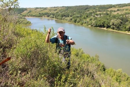 Науковий співробітник Петро Площанський проводить обстеження джерел на схилі Дністра